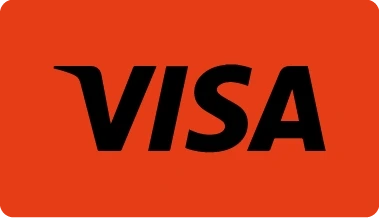 WanejoBets Visa payment method